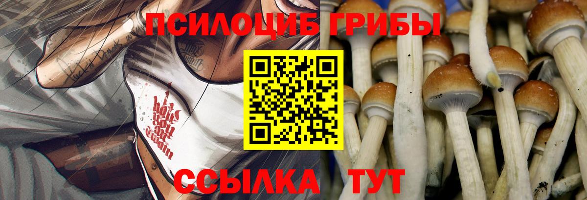Псилоцибиновые грибы GOLDEN TEACHER Советск