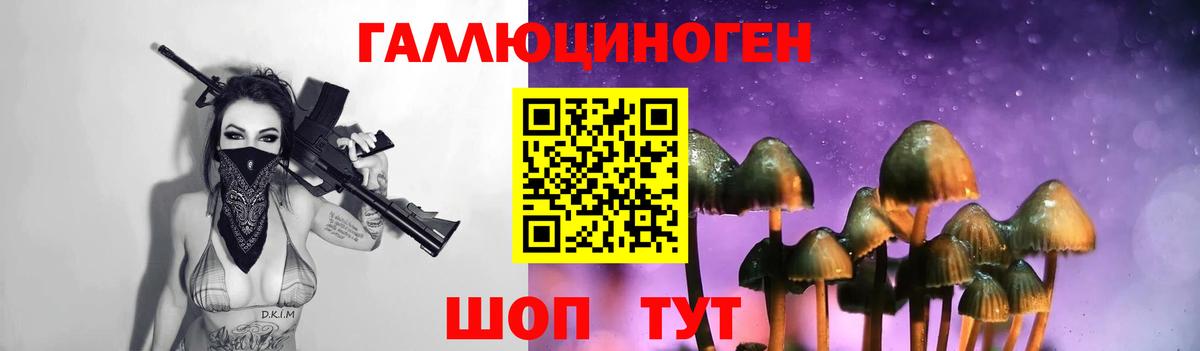 Псилоцибиновые грибы ЛСД  Галлюциногенные грибы Psilocybine cubensis  Вход с VPN  Советск 